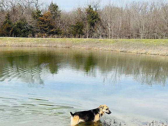 1st pond