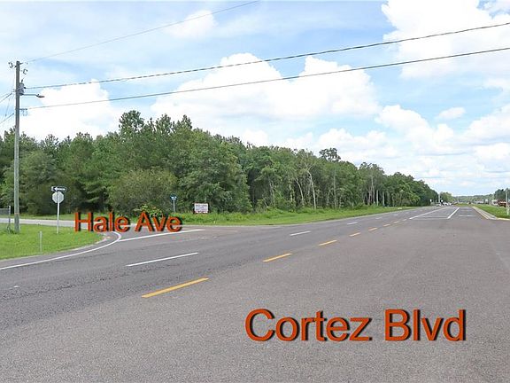 4th image of Hale Ave