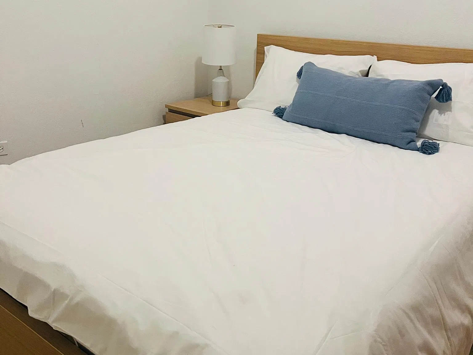 1 bed, 700 sqft, $1,450 — Photo 3
