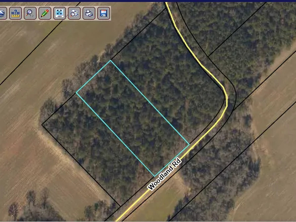 1 Woodland Rd, Jeffersonville, GA 31044