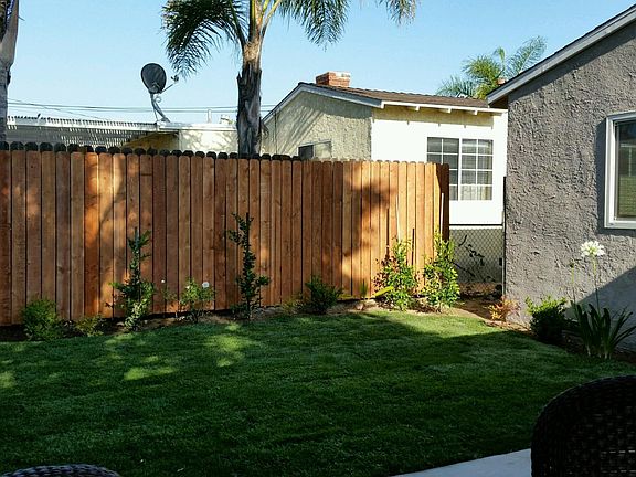  rear yard