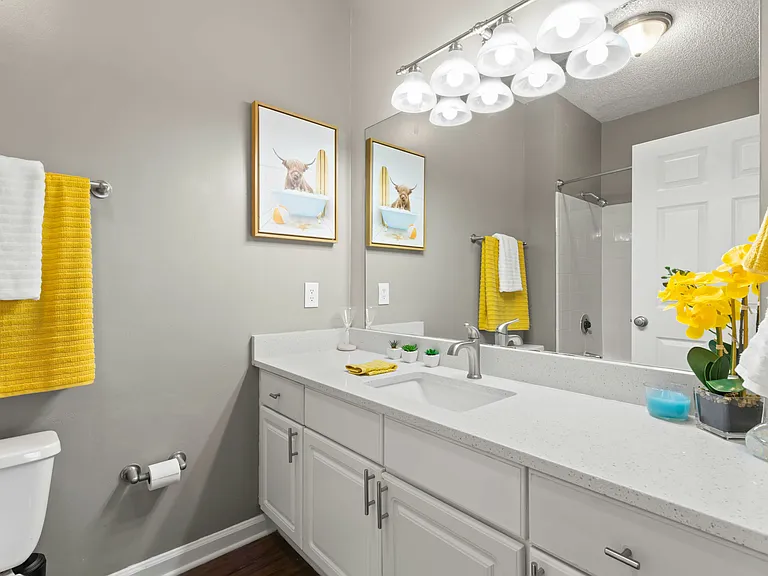 Expansive Quartz Countertop