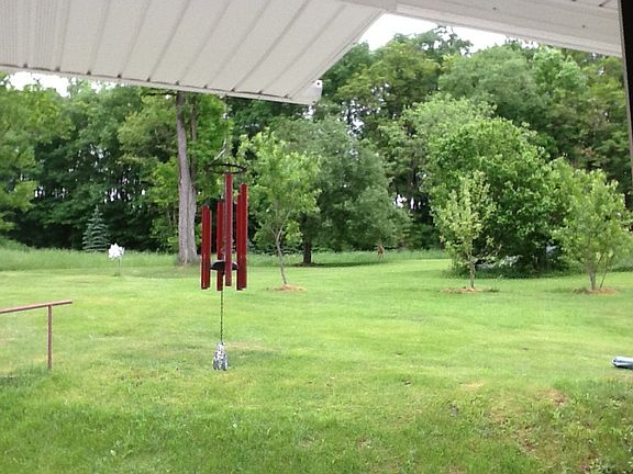 View from back porch