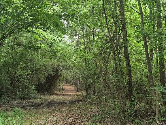 3rd image of 2016 County Road 1865 N