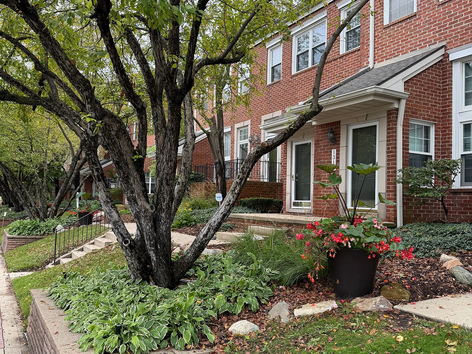 2 bed, 1180 sqft, $2,200 — Photo 3