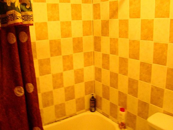 2nd image of 539 County Road 296a