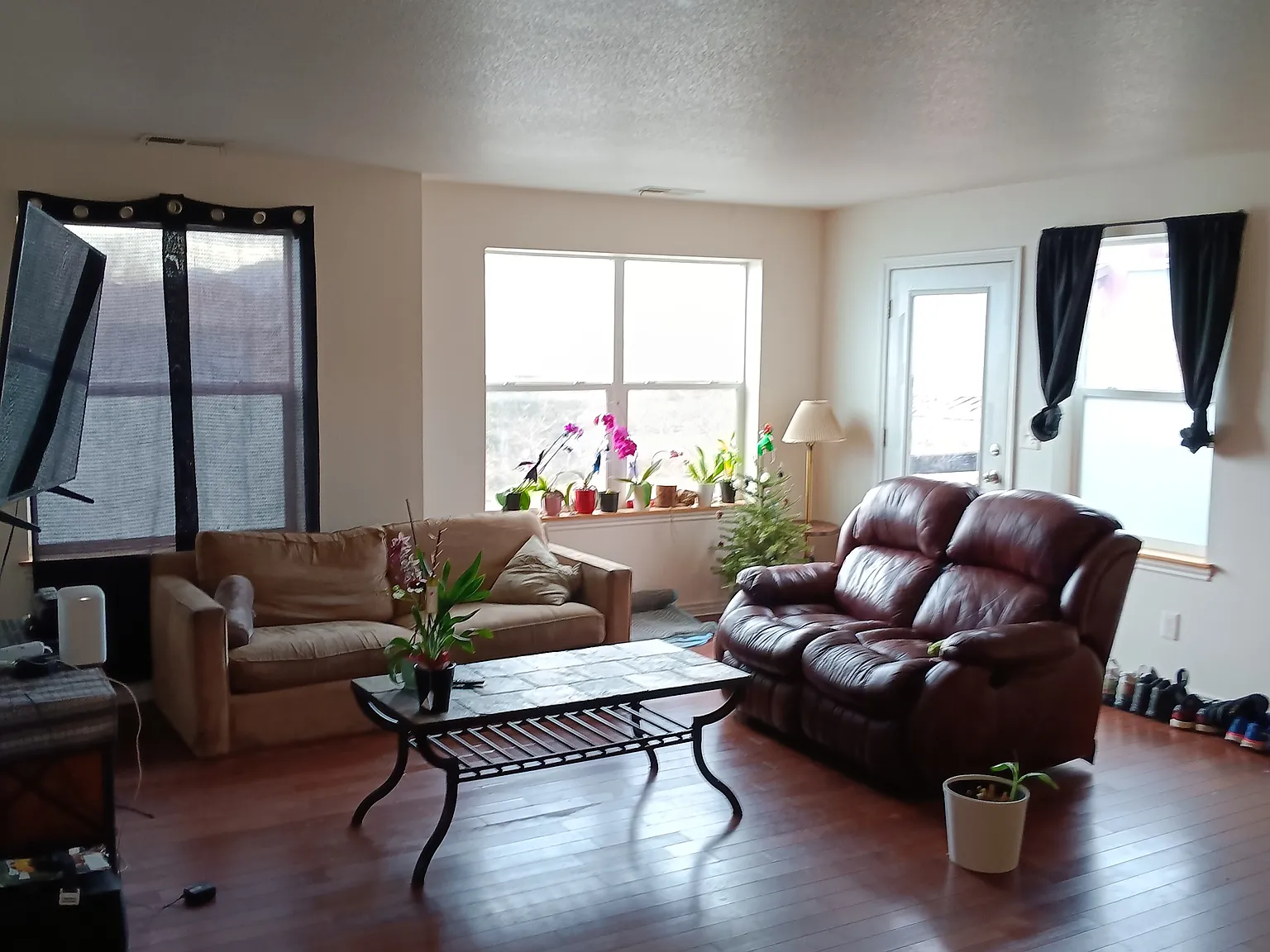 2 bed, 1150 sqft, $900 — Photo 3