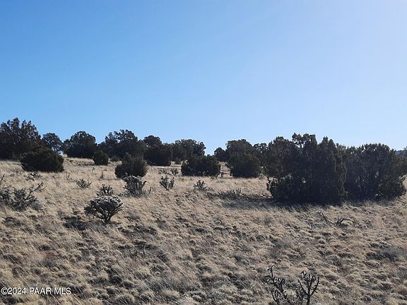 4th image of LOT 1247 W Tin Star Trl