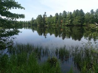 Lots 1 & 2 N Price Dam Rd, Winter, WI 54896