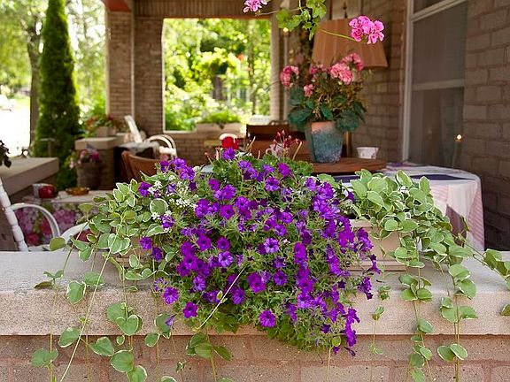 5th image of 223 2nd Ave SE
