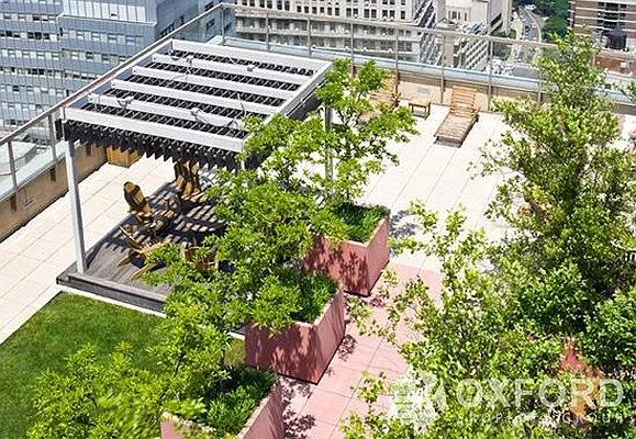 Rented by Oxford Property Group | media 4