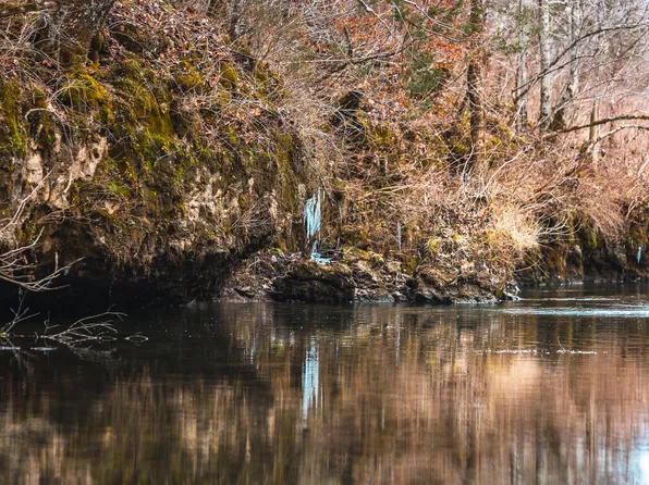 176 Rocky Rise Loop, Fordland, MO 65652