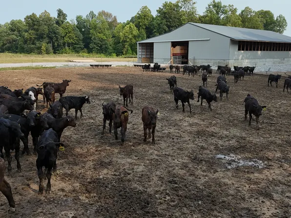 3234 N Spry Rd, Deputy, IN 47230