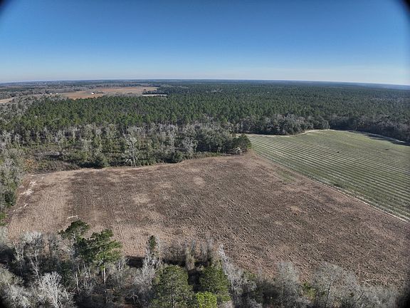 3rd image of 891 Griggs Lucille Rd