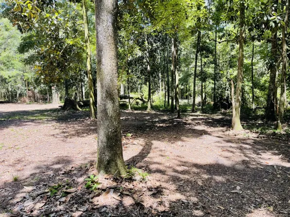 1169 Old Bumpy Rd, Tallahassee, FL 32317