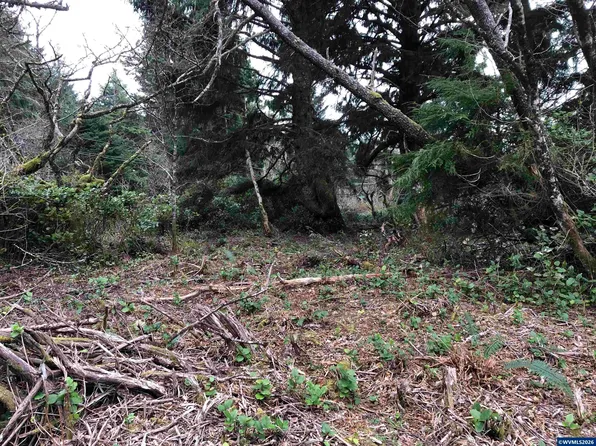 Tl 100 200 Westwind St, Gleneden Beach, OR 97388