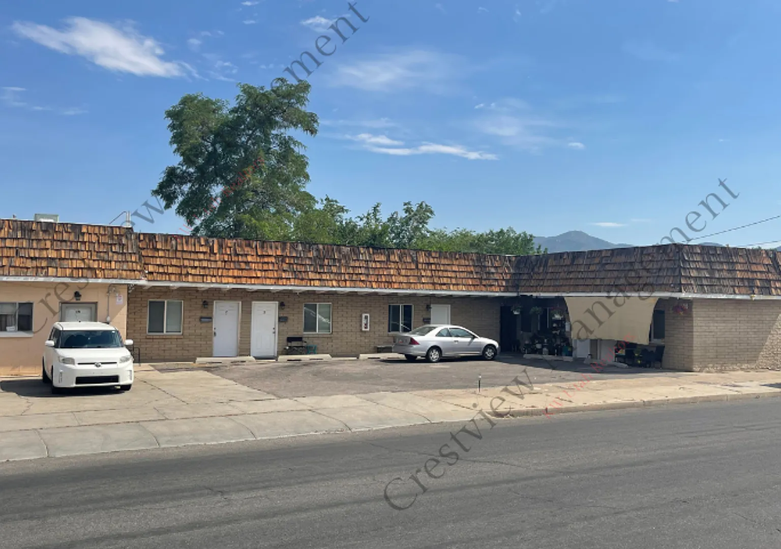 Tooele Vine — Photo 1