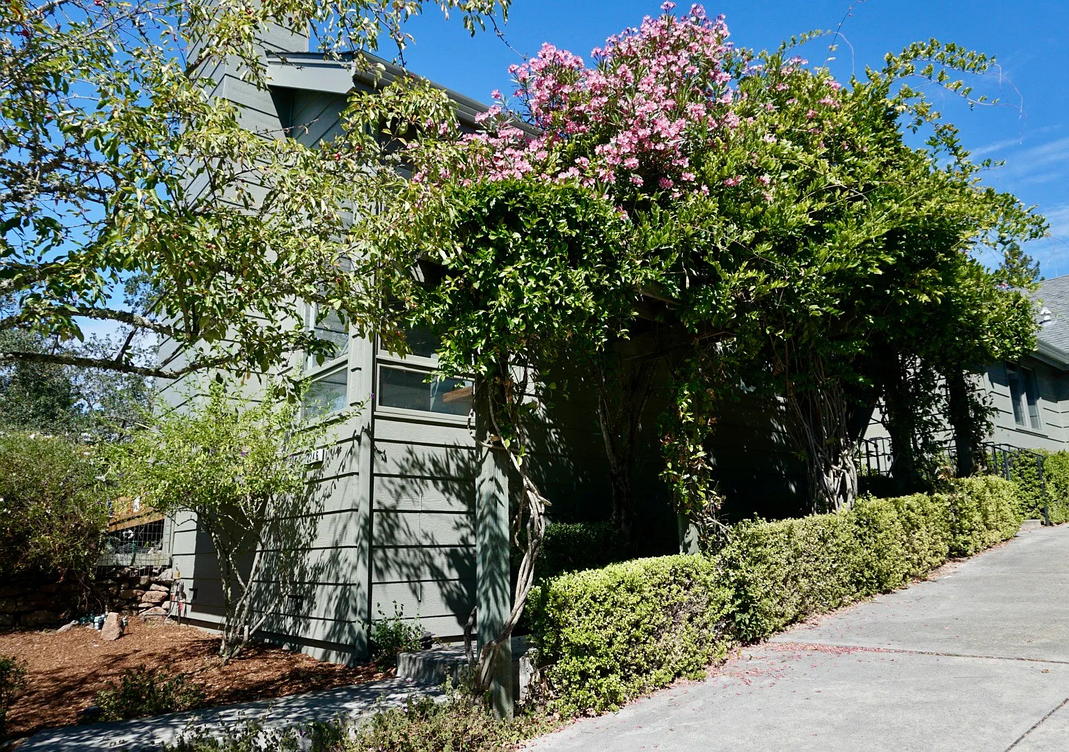 3 bed, 2.5 bath, 2389 sqft, $5,400 — Photo 2