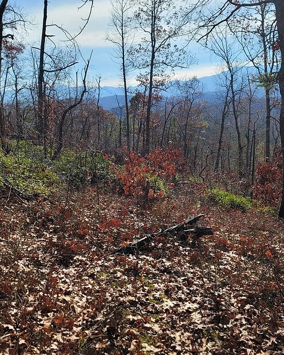 2nd image of 0 Wild Briar Trl