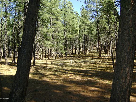 4th image of 380 Lodge Dr
