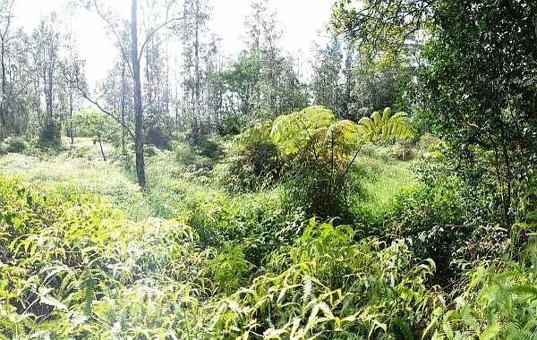 1st image of Road 10 Poouli Lot 5755
