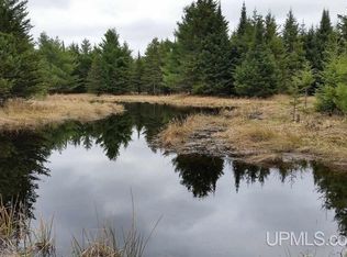 Tbd Bellaire Rd, Baraga, MI 49908