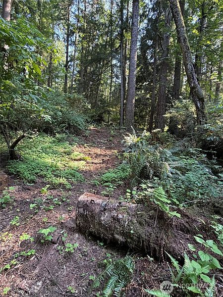 5th image of 0 Squalicum Mountain Road