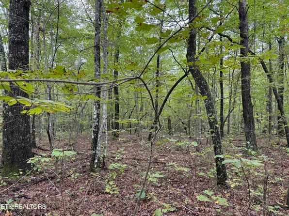 White Oak Rd, Monterey, TN 38574