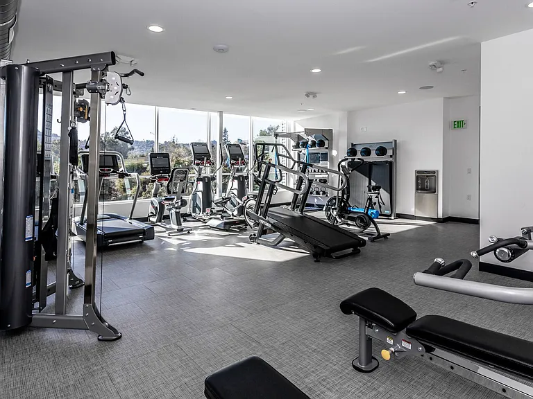 Vida Studio City — Photo 16