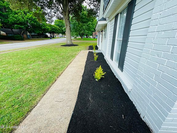 4th image of 3845 Carroll Dr