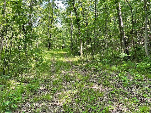 4th image of 000 County Road P-164