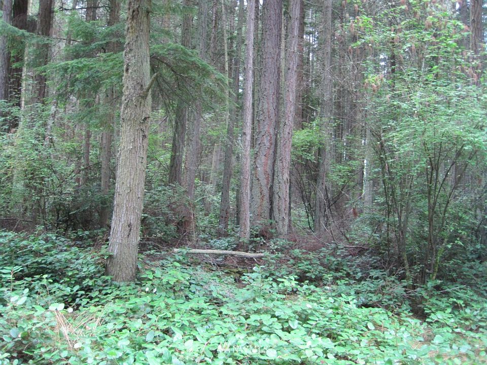 1st image of 0 Lot 13 Parker Woods