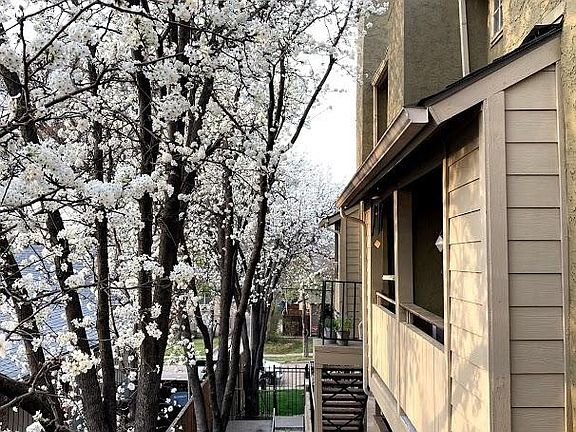 2nd image of 5740 Martel Ave APT A16