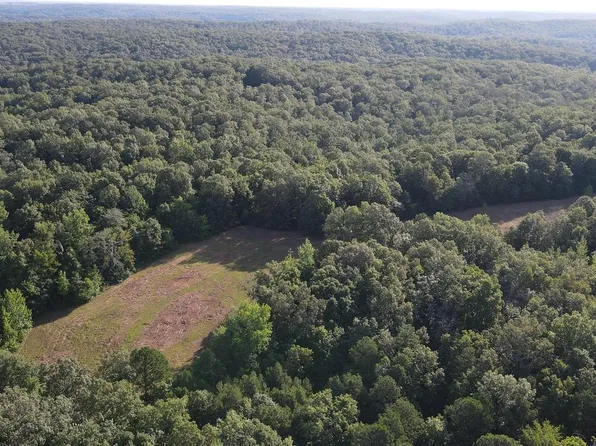 10091 Bcr 538, Marble Hill, MO 63764