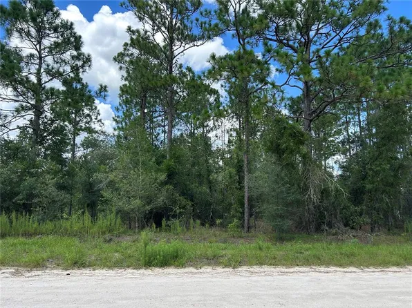 0000 SE 25TH STREET LOT 8, MORRISTON, FL 32668