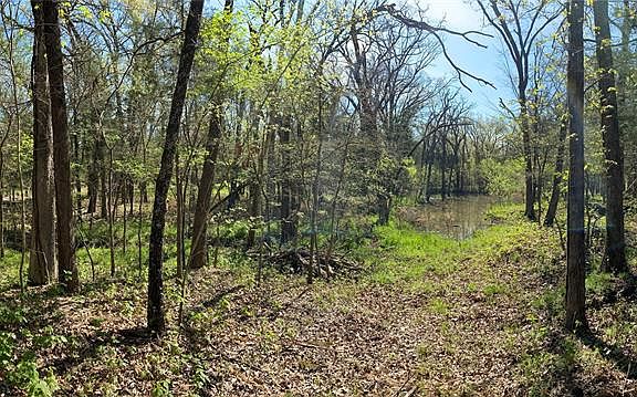 4th image of 4425 County Road 3225