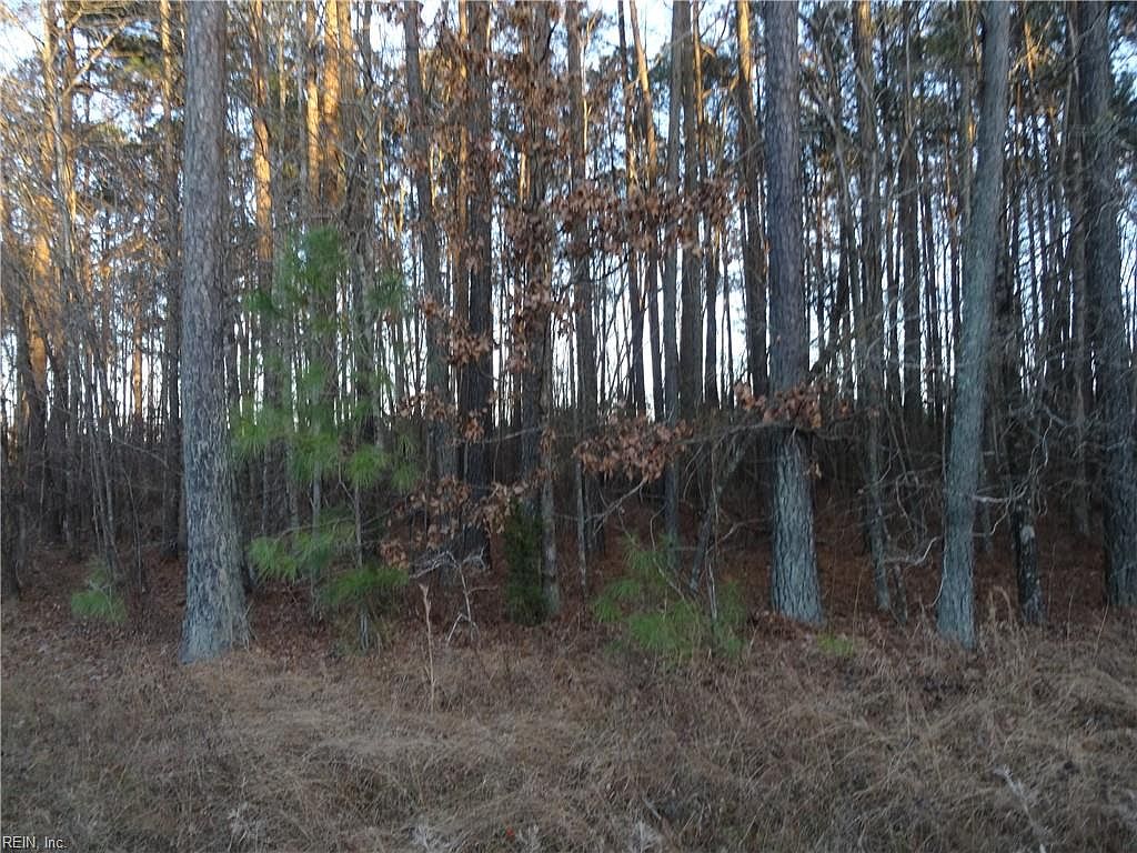 LOT 9 Strawberry Plains Rd, Ivor, VA 23866 MLS 10450539 Zillow
