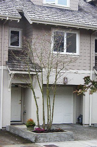 Community of superb townhomes