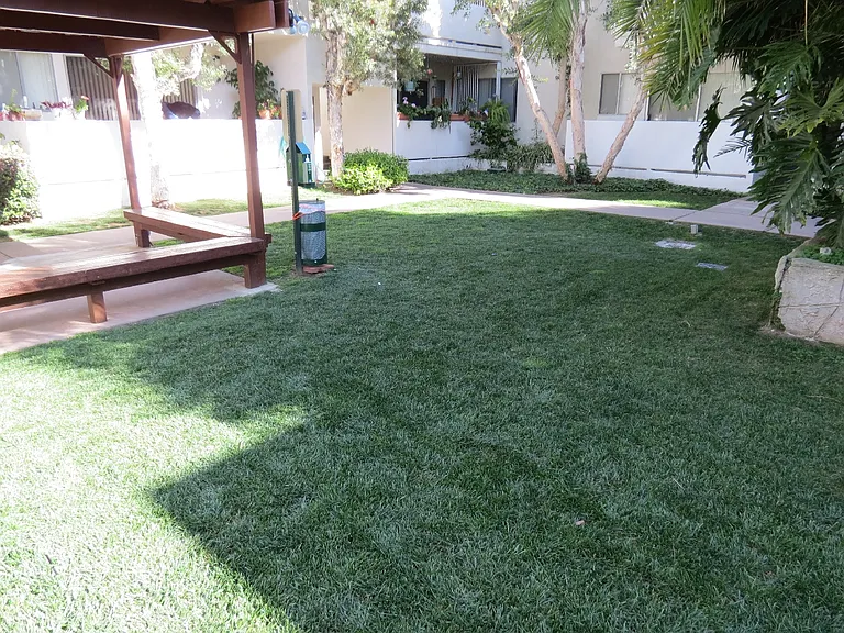 Pet Play Area
