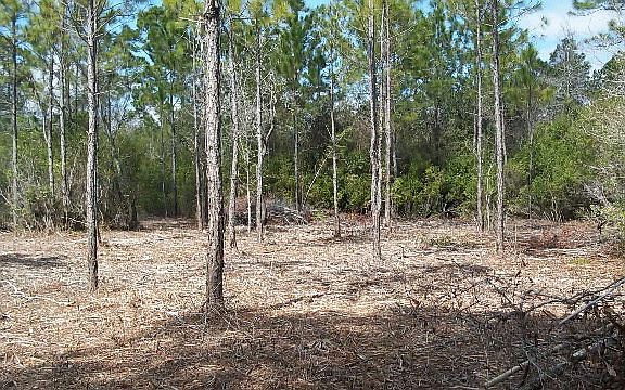 5th image of 0 Cypress Ave