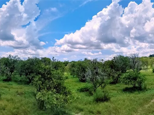 No St Lot 19, De Leon Springs, FL 32130