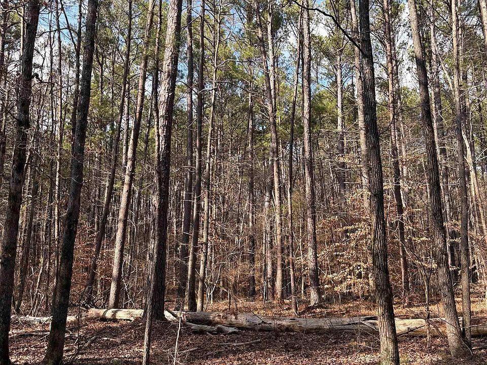 2nd image of 2450 Mud Creek Rd #1