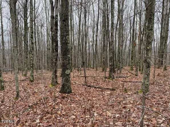 Tbd Pine Camp Rd, Coeburn, VA 24230