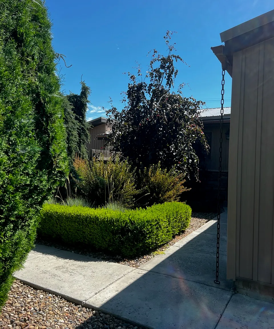 2 bed, 1200 sqft, $1,200 — Photo 2