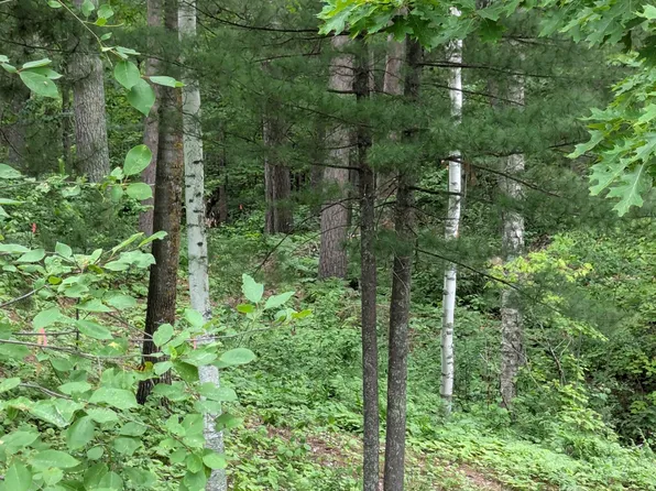 5 Street S, Walker, MN 56484