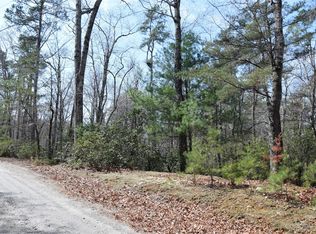 290 Poodles Way, Lake Lure, NC 28746