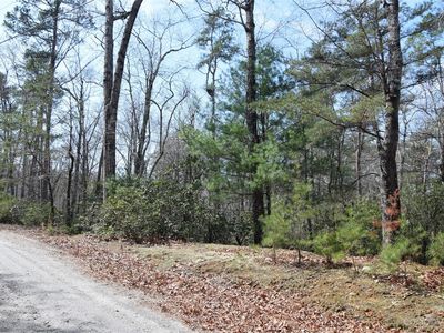 290 Poodles Way, Lake Lure, NC, 28746