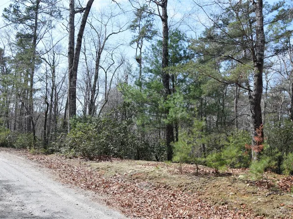 290 Poodles Way, Lake Lure, NC 28746