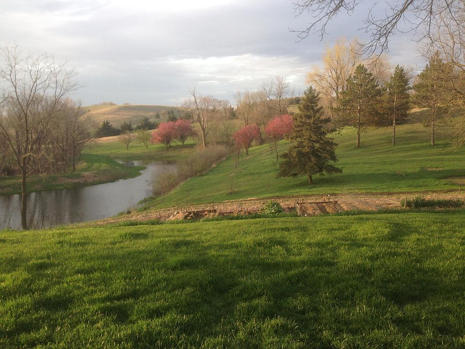 Looking south from porch. Garden and pond below. Walking trails are in the distance and the line of cedars is the south property line. The house sits in the middle of the forty acres and is pretty much obscured from view.
