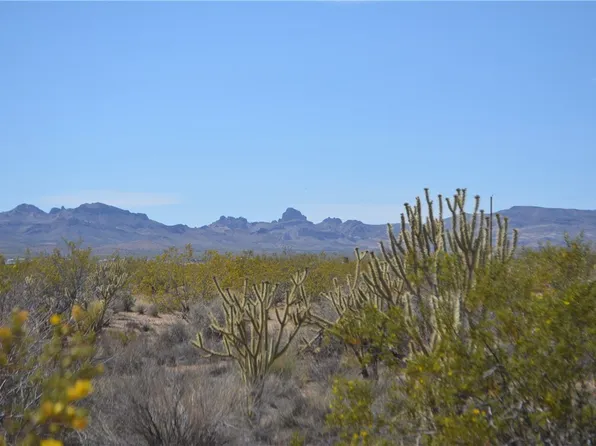 Parker Rd, Golden Valley, AZ 86413